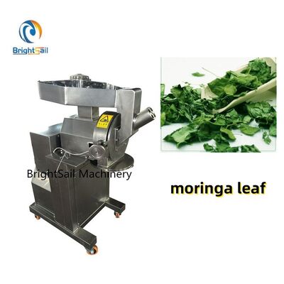 Φύλλα βοτάνων, φύλλα Moringa και σφυρόμυλος υψηλής ταχύτητας Spice