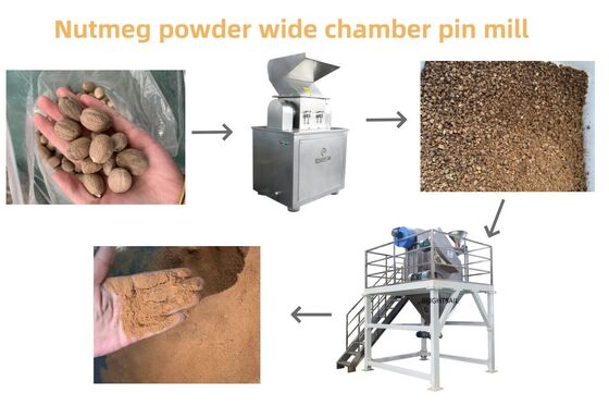 Μηχανή λείανσης σπόρων μουστάρδας Pin Mill Powder Mill για ελαιούχους σπόρους και μπαχαρικά